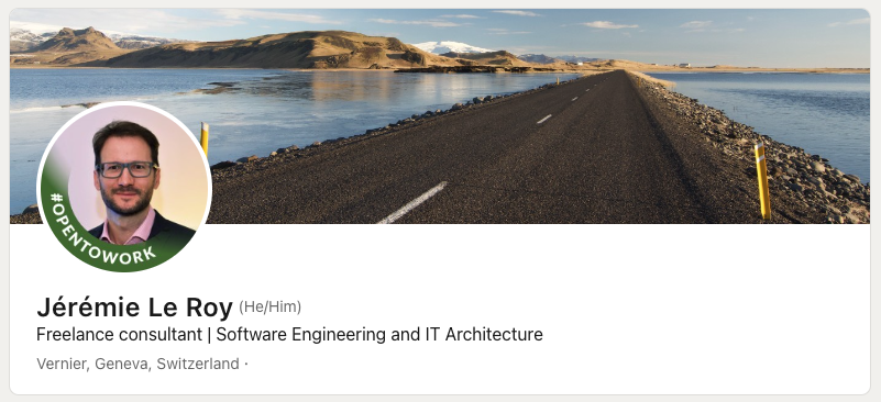https://www.linkedin.com/in/jeremieleroy/